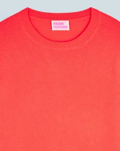 FROM FUTURE Pull Col Rond Basique UtopicCorail Shop