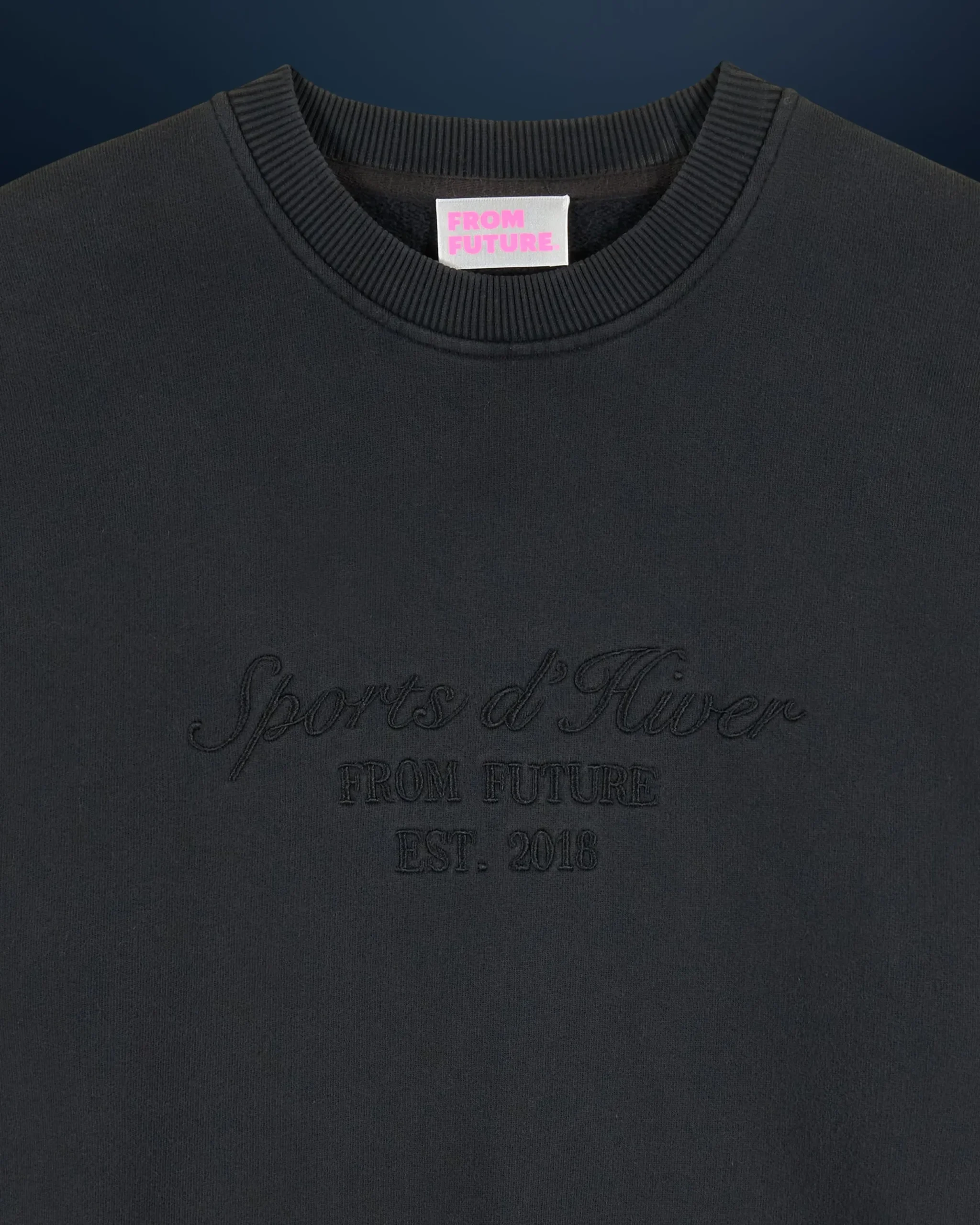FROM FUTURE Sweatshirt Hoodie Ski Club WashedBlack Cheap